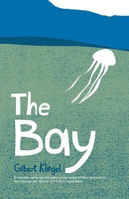 The Bay 1