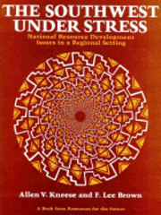 bokomslag The Southwest Under Stress