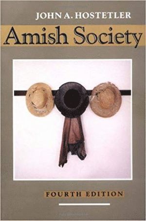 bokomslag Amish Society