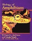 bokomslag Biology of Amphibians
