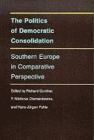 Richard Gunther, P. Nikiforos Diamandouros, Hans-Jürgen Puhle, Richard (Ohio State University) Gunther, Hans-Jurgen (Goethe-Universitat Frankfurt) Puhle, P Nikiforos Diamandouros - Politics of Democratic Consolidation, Häftad
