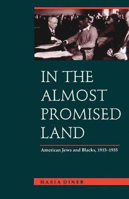 Hasia R. Diner, Hasia Diner - In the Almost Promised Land, Häftad