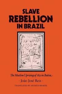 bokomslag Slave Rebellion in Brazil