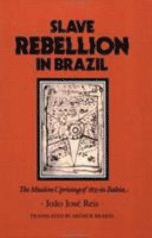 bokomslag Slave Rebellion in Brazil