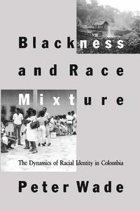 bokomslag Blackness and Race Mixture