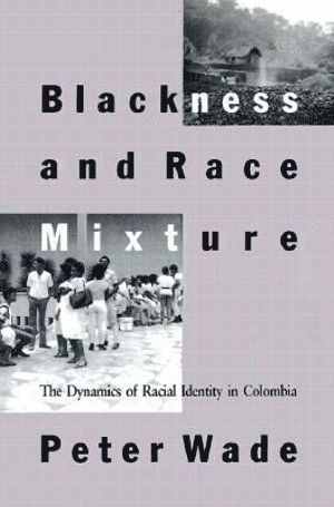 bokomslag Blackness and Race Mixture