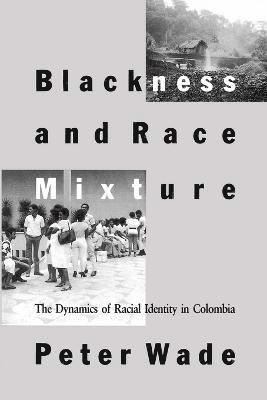 Blackness and Race Mixture