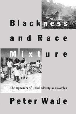 Blackness and Race Mixture 1