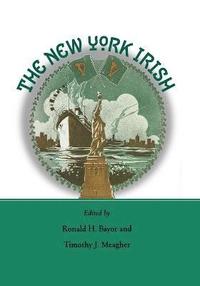 bokomslag The New York Irish