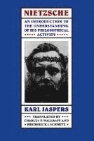 Karl Jaspers - Nietzsche, Häftad