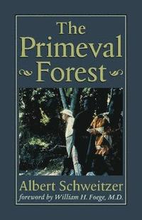 bokomslag The Primeval Forest