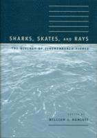 bokomslag Sharks, Skates, and Rays