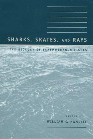 bokomslag Sharks, Skates, and Rays