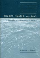 William C. Hamlett, University of Notre Dame) Hamlett, William C. (Associate Professor of Anatomy, William C Hamlett - Sharks, Skates, and Rays, Inbunden