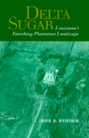 bokomslag Delta Sugar