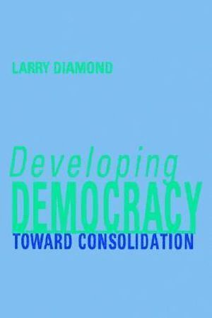 Developing Democracy 1