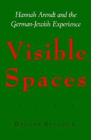 bokomslag Visible Spaces