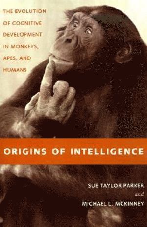 Origins of Intelligence 1