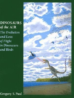 bokomslag Dinosaurs of the Air