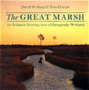 bokomslag The Great Marsh