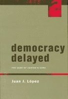 bokomslag Democracy Delayed