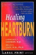 bokomslag Healing Heartburn