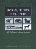 bokomslag Horns, Tusks, and Flippers