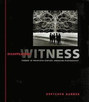 Disappearing Witness 1