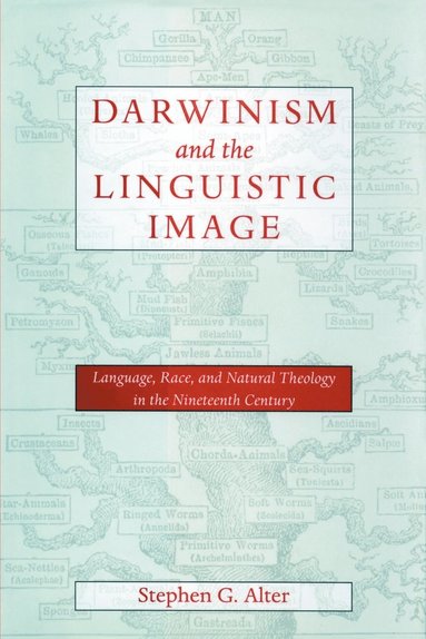 bokomslag Darwinism and the Linguistic Image