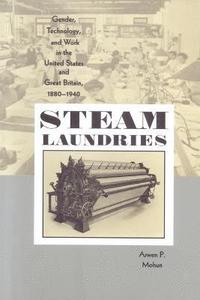 bokomslag Steam Laundries