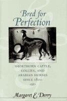 Margaret E. Derry - Bred for Perfection, Inbunden