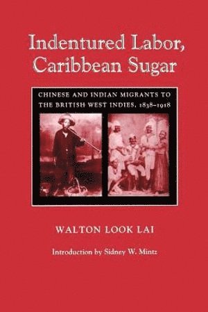 Indentured Labor, Caribbean Sugar 1