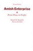 bokomslag Amish Enterprise