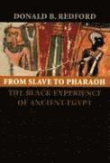 bokomslag From Slave to Pharaoh