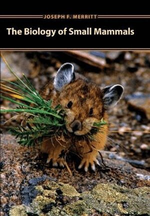 Joseph F. Merritt - Biology of Small Mammals, Inbunden