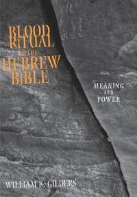 bokomslag Blood Ritual in the Hebrew Bible