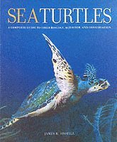 bokomslag Sea Turtles