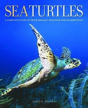 bokomslag Sea Turtles