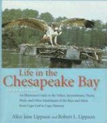 Life in the Chesapeake Bay 1