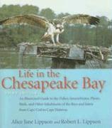 Life in the Chesapeake Bay 1