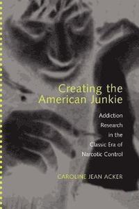 bokomslag Creating the American Junkie