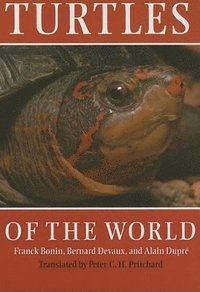bokomslag Turtles of the World