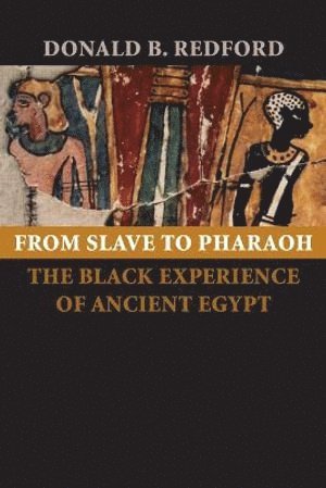 bokomslag From Slave to Pharaoh