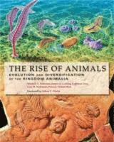 bokomslag The Rise of Animals