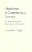 bokomslag Inheritance in Contemporary America
