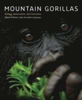 Mountain Gorillas 1