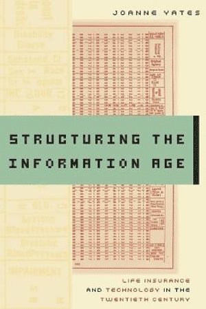 bokomslag Structuring the Information Age