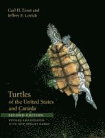 bokomslag Turtles of the United States and Canada