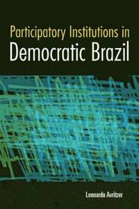 bokomslag Participatory Institutions in Democratic Brazil