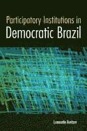 Leonardo Avritzer - Participatory Institutions in Democratic Brazil, Häftad